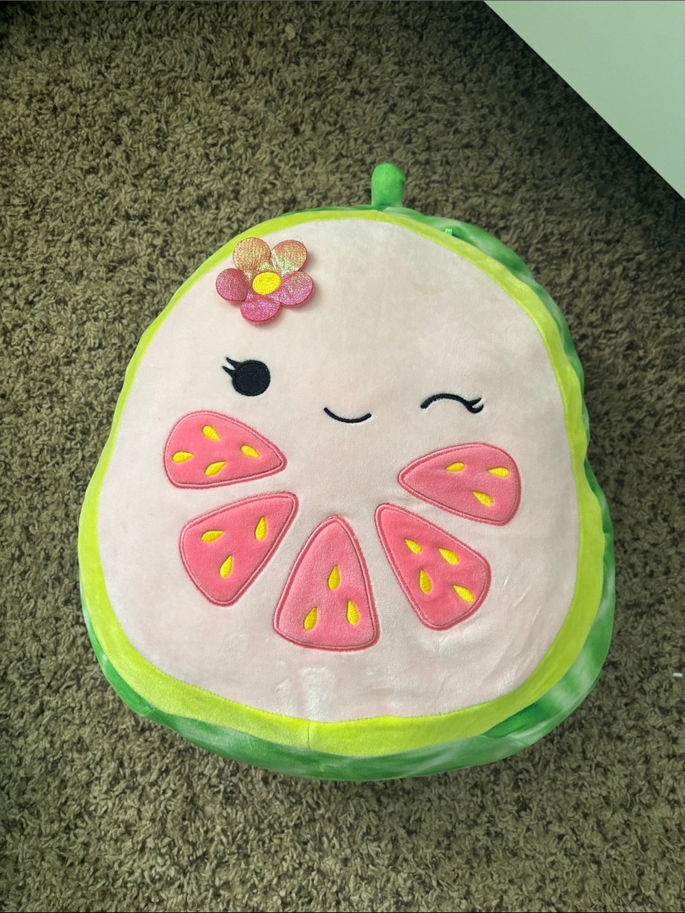 Watermelon Squishmallow